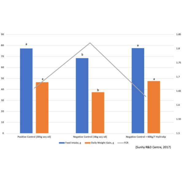 Функциональный эмульсор питания с липазой ранга питания