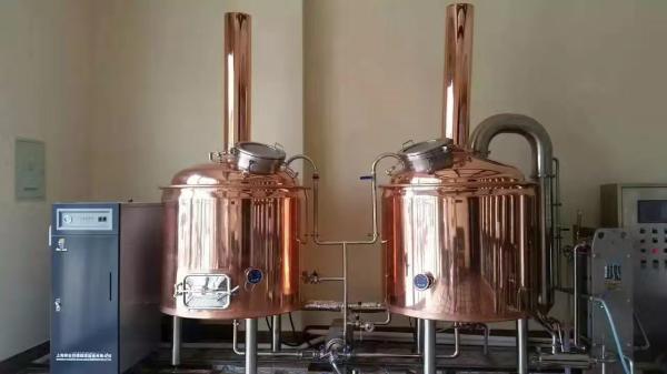 PLC Control Copper Beer Small Home Brewing Systems , Mini Beer Brewery Equipment