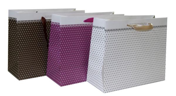 Small Points Classic Gift Paper Bag With Matt Coat For Gift Packaging
