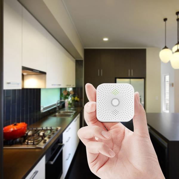CH4 Gas Alarm Detector For Hilton Hotel Use With CE RoHS
