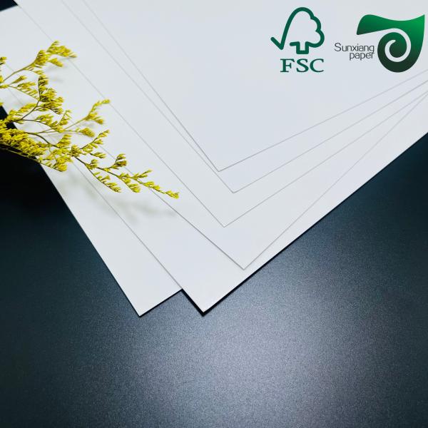 250gsm Single-Sided Coated Freezer Paper Roll  420μM  Food Packaging