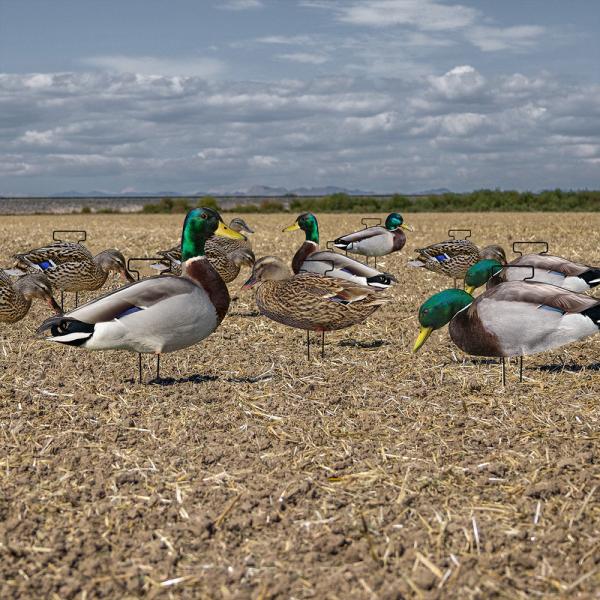 1200g Lifelike Hunting Decoys PP Board Silhouette Decoys Recyclable Anti Scratch