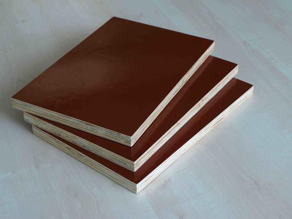 Flexibility WBP Glue Oversized Plywood Sheets / Poplar Core Plywood Project Panel