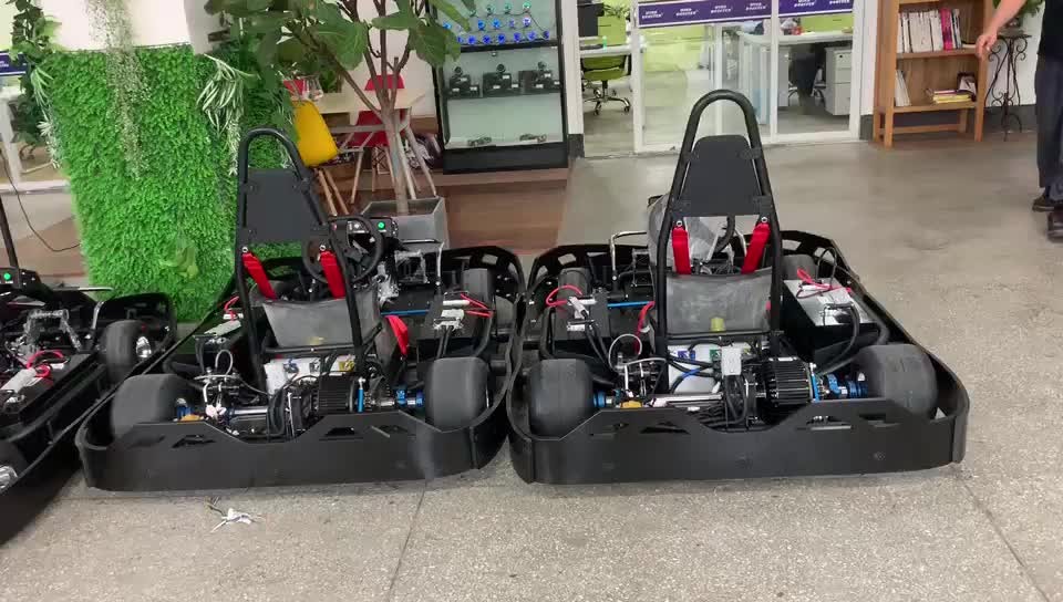 Одиночный мотор дети 48 вольт электрические идет Karts 2500RPM электрическое для взрослых