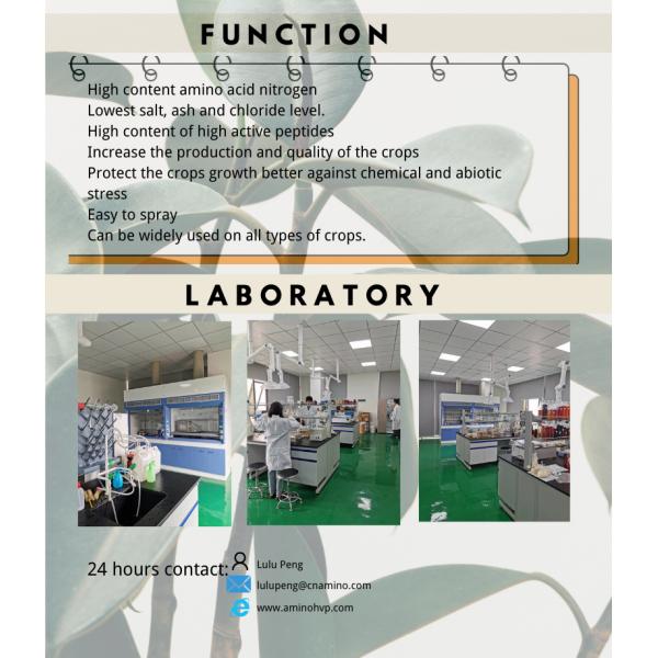 Agricutural Nitrogen Liquid Fertilizer Enzymatic Amino Acids 50% (8-0-0) PH 4-6