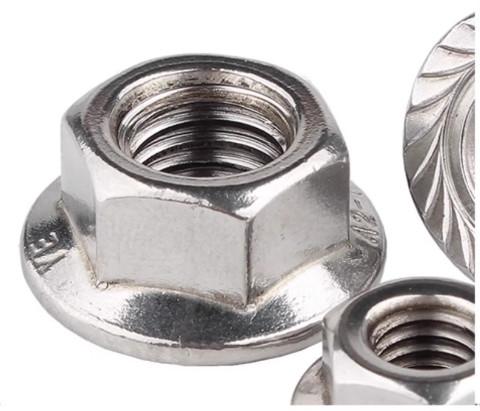 M10 M12 Stainless Steel Hex Flange Nut SS304 316 316L Polish Plain Finish DIN6923