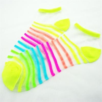 Women′s Transparent Colorful Rainbow Striped Cotton Ankle Socks