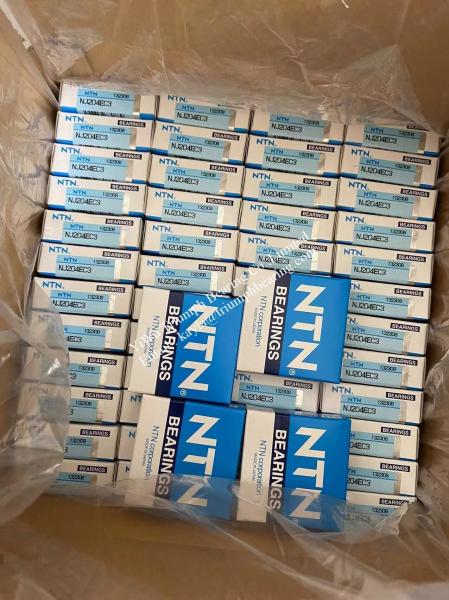 NTN Cylindrical Roller Bearing   NJ204EC3