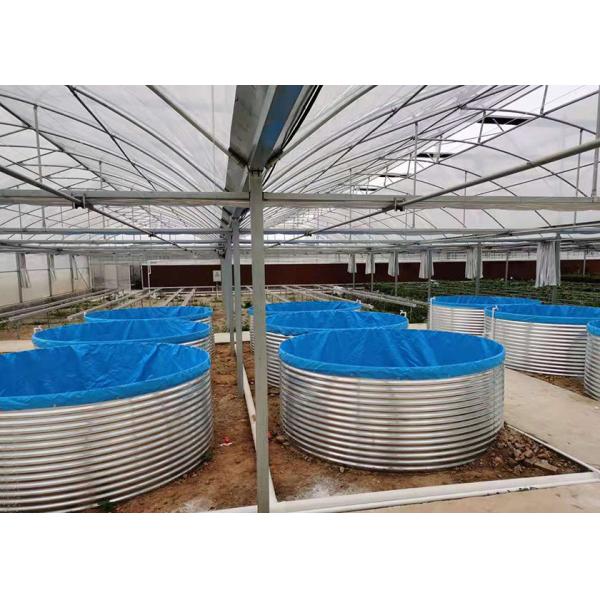 Industrial Indoor Recirculating Aquaculture System 7kg/M³ Shrimp Density 30% Faster Growth