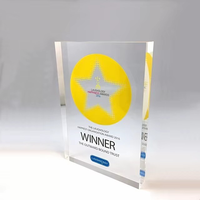 Plexiglass Awards Acrylic Trophy Awards With/Without Stand Transparent