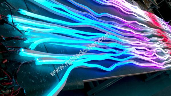 dc12v 60led digital rgb flexible neon strip light for holiday decoration