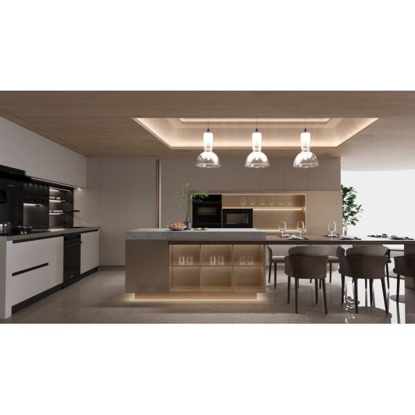 Wood Grain Stainless Steel Kitchen Cabinet with Wine Cooler & LED