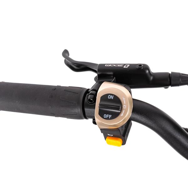 Unisex Powerful 60V Speed Dual Motor Electric Motorcycle 2000W-3000W Off-Road Scooter
