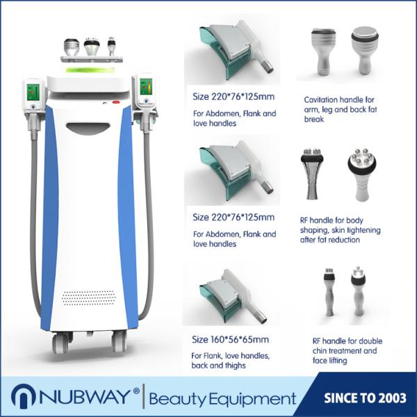 CE approval hot sale excellent result reduce 2-8cm Cryolipolysis Slimming machine