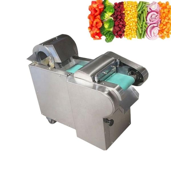 Máquina de corte de vegetais comercial 220v Voltagem perfeita para matérias-primas à base de leite