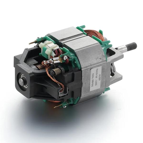 110V/220V 50/60Hz AC Motor Blender Professional 76mm Treadmill Motor with Ball Bearing