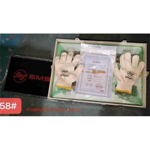 612600030017 Cylinder Liner Piston Ring WD615 WEICHAI Engine Parts Five Supporting