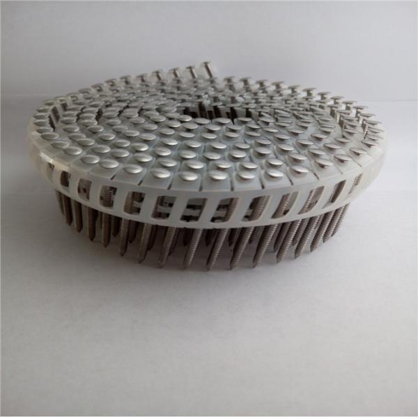 SUS304 пластиковые Collated ногти, толь хвостовика кольца нержавеющей стали пригвождают 3,1 X 80MM