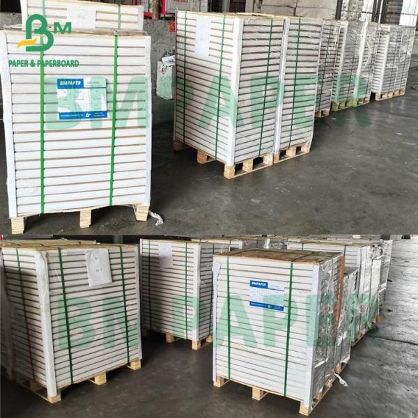 200um Papel de cartaz Satih Matte Finish Impermeável Resistente a rasgos