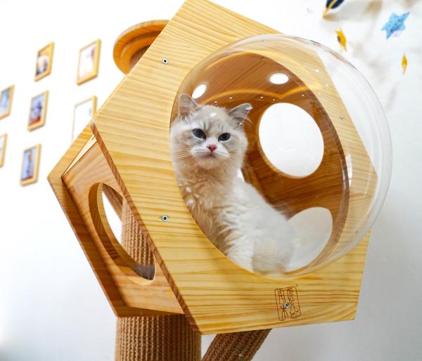 Cápsula de madeira de Cat Climbing Tower With Space da caverna da cama do animal de estimação do hexágono luxuoso