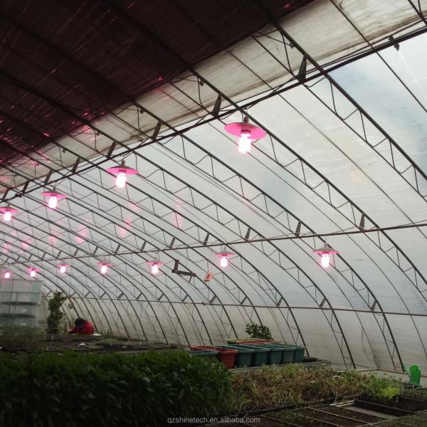 Easy Assembled Solar Greenhouse for Cold Winter Climates PE Material and PE Material