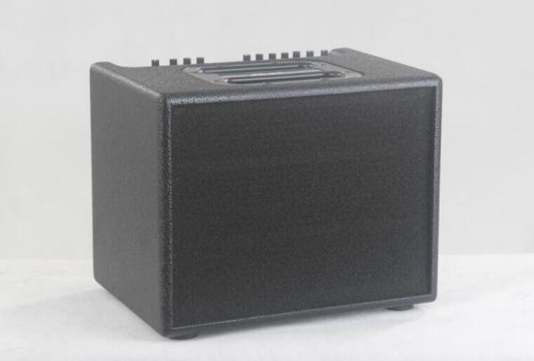 Acoustic Guitar Amplifier 60W AER Compact60 Style Acoustic Guitar Amp 60W 8+Tweeter