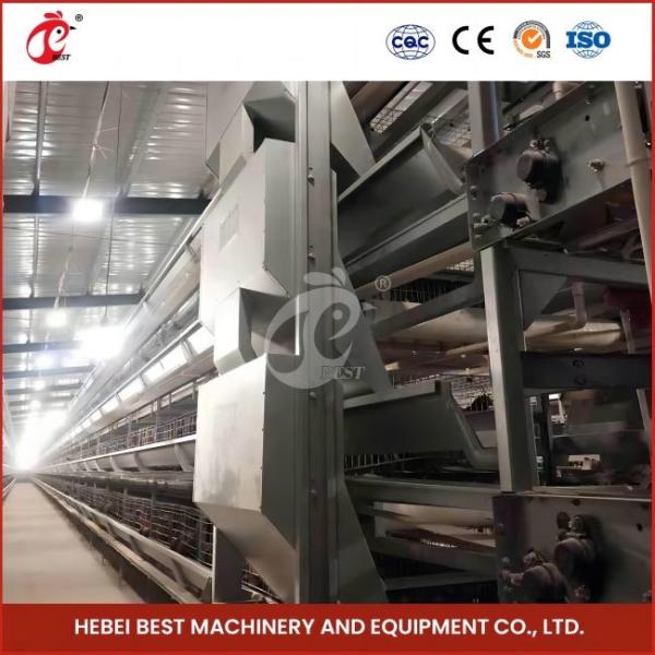 Anti Corrosion Chicken Battery Cage 160 Birds Capacity 100khg Weight Rose
