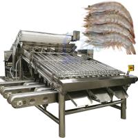 Machine automatique de tri des crevettes pour éplucher les crevettes, laver les crevettes fraîches, tri en roulement des crevettes
