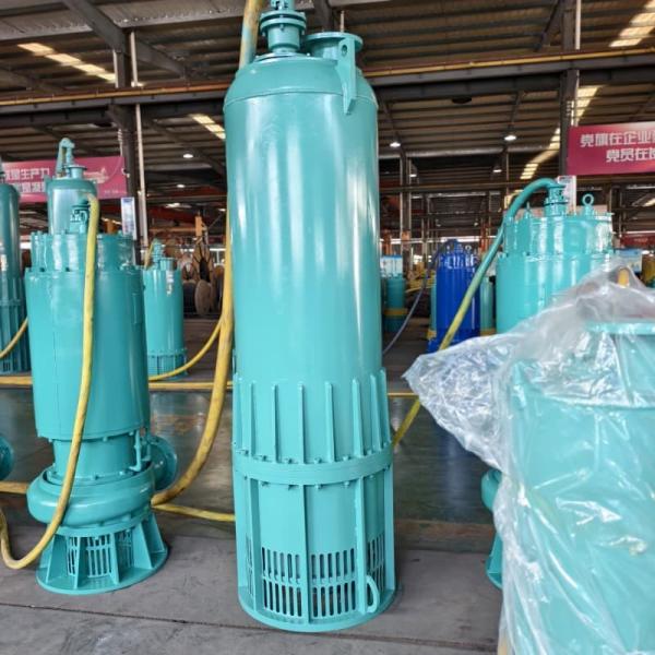 Explosion Proof Submersible Pumps 550m High Head Dewatering Pumps 315kW 230hp 100m³/H