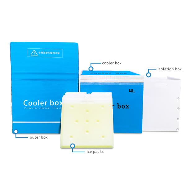 VIP Insulation Cold Chain Box With Ice Packs Configuration And Easy Carry Side Handles For Temperature Control