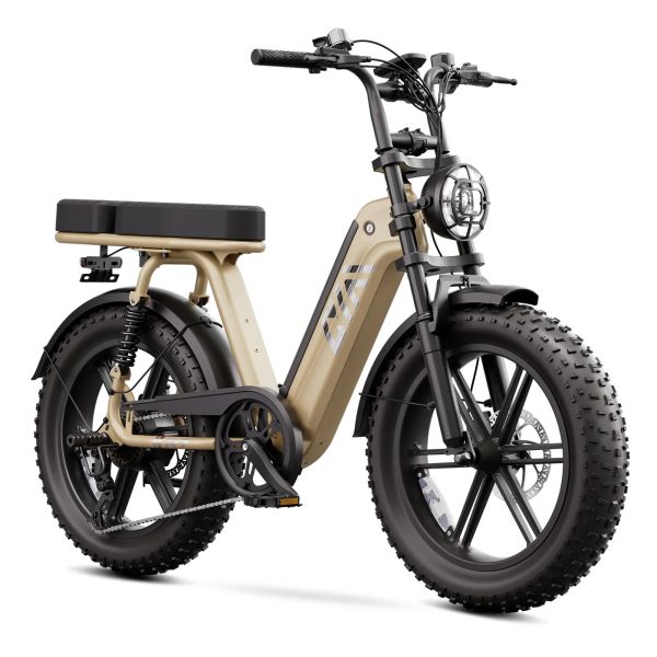 R7 Women Comfort Electric Bike | 20inch Fat Tire E-Bike for Urban Riding and Leisure Cycling