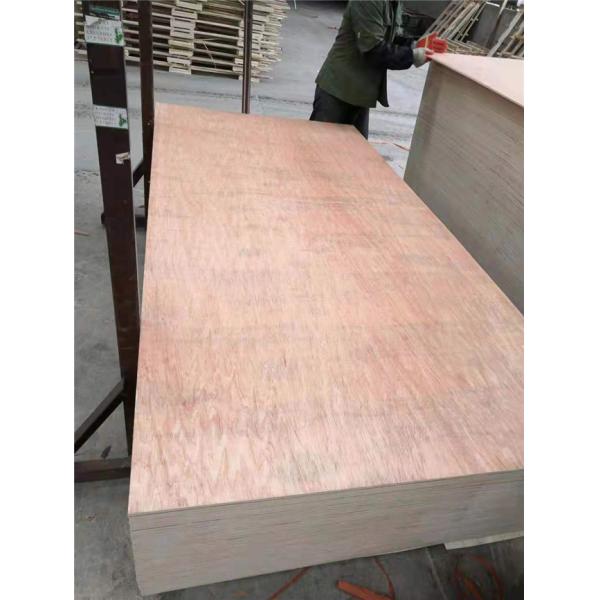 Anti Acid BB Grade 1250x2500mm Bintangor Plywood