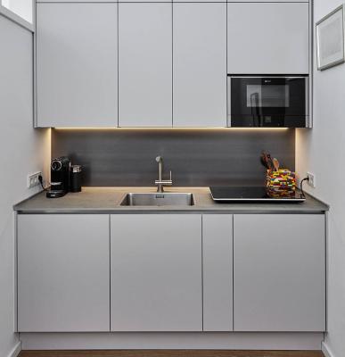 Modern Style Matt Finish Melamine Kitchen Cabinet For Apartment