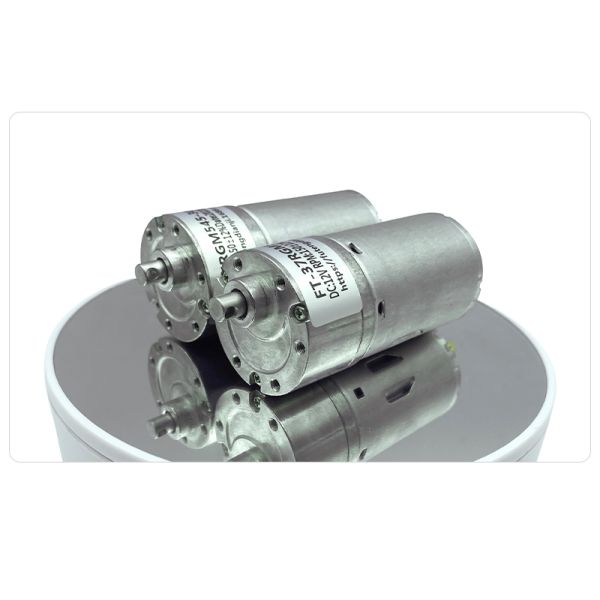 Futeng Customization FT-37RGM545  Reduce Speed Micro DC Motor 12v 24v Car Electric Trunk Tailgate Strut Motor