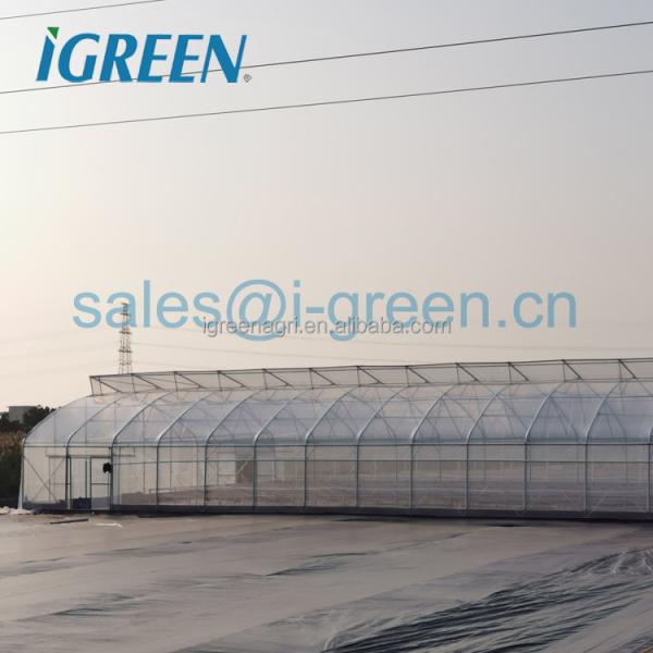 Strong Frame Greenhouse with Hot Dipped Galvanized Steel Structure and Film Cover