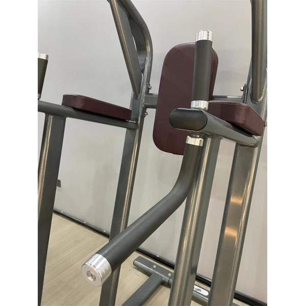 Pull Up Bar Leg Raise Chest Shoulder Workout Power Tower Dip Station Gym Equipment