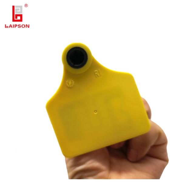 Etiquetas de orelha animais dos rebanhos animais customizáveis da frequência ultraelevada RFID de 5m para o porco dos carneiros do gado