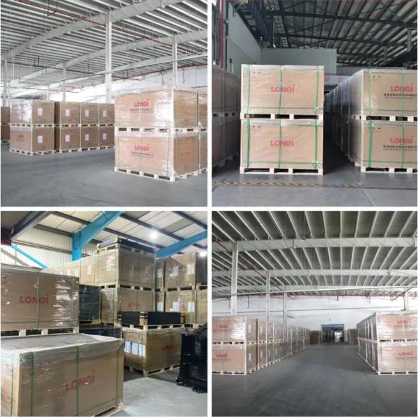 108 Cells White Backsheet Mono-facial Solar Panel 445W 450W 455W for Solar Energy System