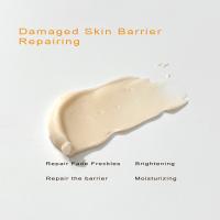 produtos dos cuidados com a pele do OEM de 1.75oz 50g que reparam firmando o creme do reparo da vermelhidão da noite das espinhas
