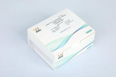 POCT Covid-19 Reagent Kits SARS-Cov-2 Rapid Antibody Test Kit