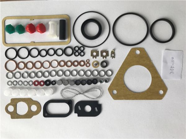 Common Rail 7135-110 Fuel Injection Pump Repair Kit