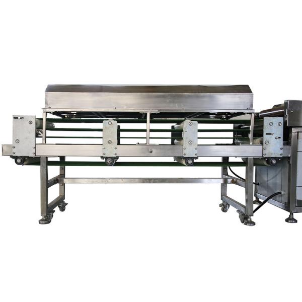CE ISO Certified Tortilla Production Line BP350 with 304 Stainless Steel and Delta Or Other Control System for 200-300 Pieces Per Hour