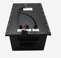 Bateria de íon de lítio de 48 volts, carregador de bateria de carrinho de golfe para carro clube