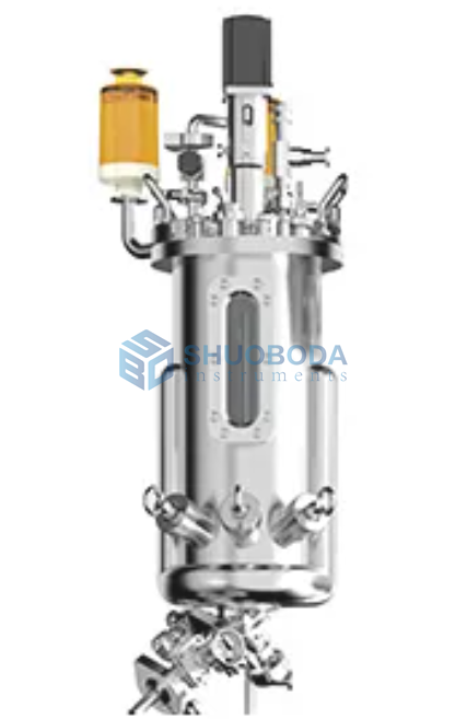 Laboratory Stainless Steel Bioreactor Fermenter FMT-S Series