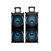 8inch rechargeable house party  portable BT speaker with wireless mic