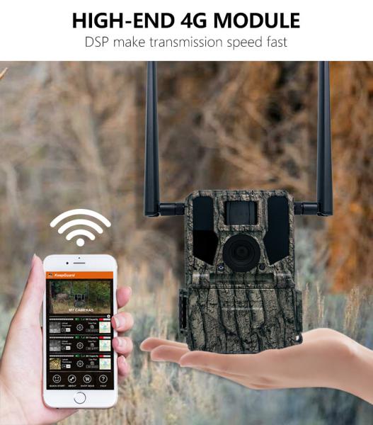 KW897 caméra de la faune sans fil à double antenne chasse 4G vision nocturne télécommande imperméable à l'eau 2K vidéo mémoire SD