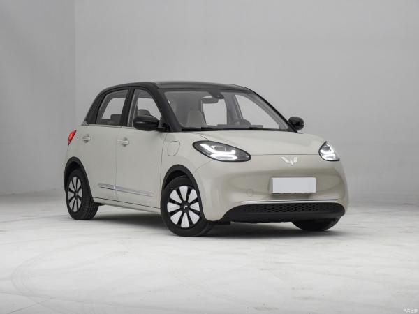 2023 Wuling Bingo Mini EV CLTC 333km Five-Door Four-Seat Energy Small Pure Electric Car