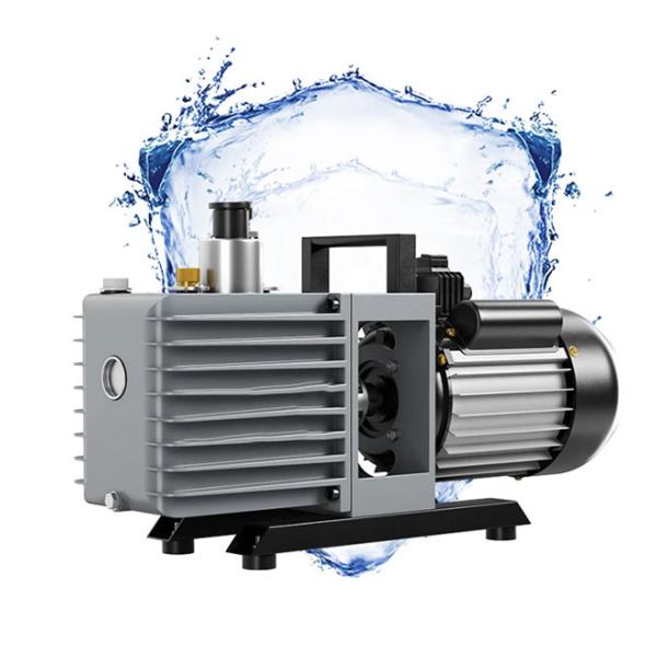 Versatile Explosion Proof Rotary Vane Vacuum Pumps For Various Industries