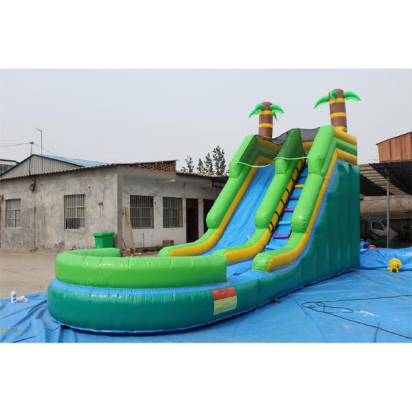 14 Years up Age Range Widely Used Backyard Inflatable Water Slide for Kids and Adults