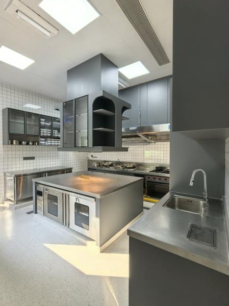 Fadior Full Stainless Steel Kitchen Cabinet - Commercial-Grade, Dark Gray & Stainless Steel Finish, Professional Layout